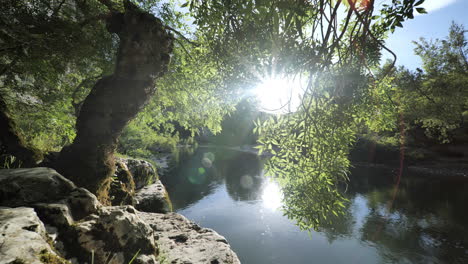 Fluss-Fließt-Ruhig-Entlang-Eines-Baumes-Auf-Einer-Klippe-Sonnenuntergang-Frankreich