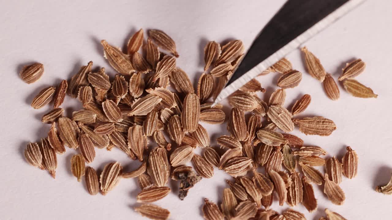Close-up video of seeds being examined with a scalpel in a lab setting, highlighting texture and precision