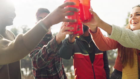 friends, camping and toast drink outdoor