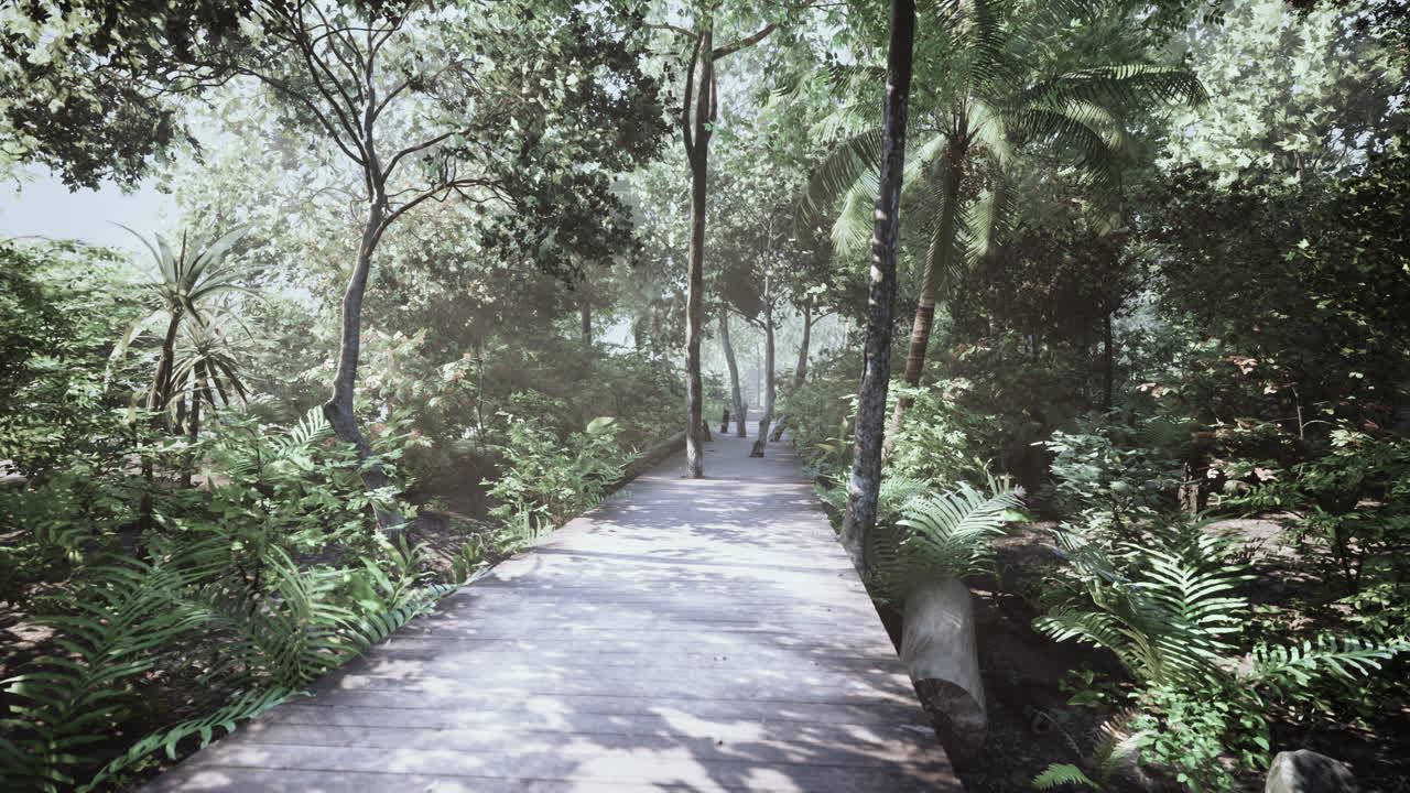 Wooden pathway leading through the dense forest in national park