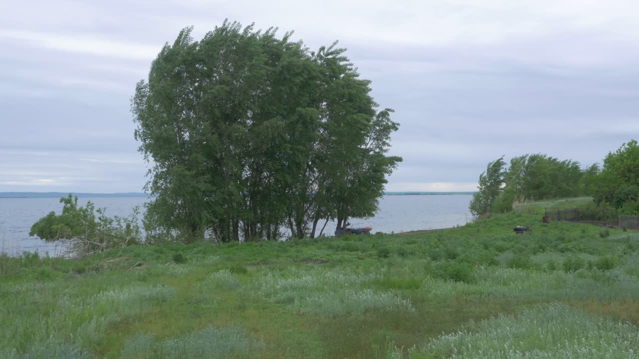 나무 와 풀 이 있는 호수변 풍경