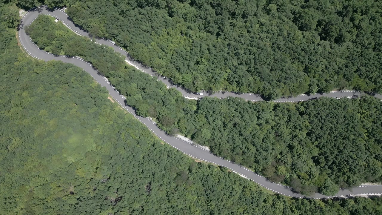 Luftfoto ovenfra af en snoet bjergvej, der skærer gennem tæt grøn skov i Transalpina de Apuseni