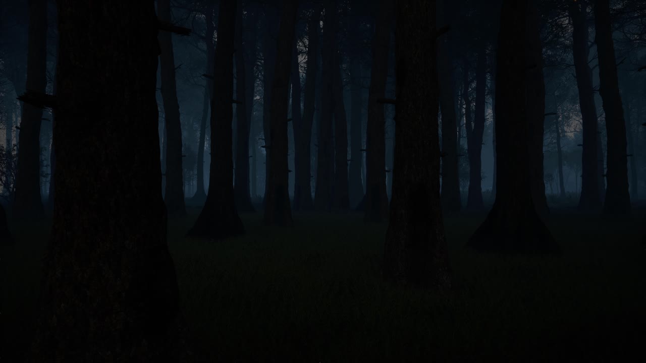 Dark and Mysterious Forest at Night