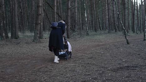 Mom-walking-with-her-baby-in-the-belgian-forest-with-a-stroller