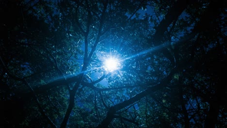 Radiant Sunlight Breaking Through Tree Canopy, Illuminating the Darkened Forest Below with a Mystical Glow and Creating a Serene Atmosphere