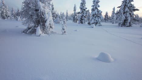 Drone-Flies-Through-Snow-Covered-Winter-Wonderland-In-Lapland,-Finland,-Arctic-Circle