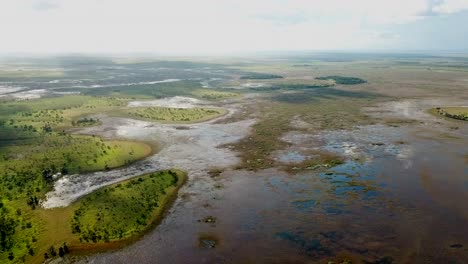 humedales el dorado en guayana