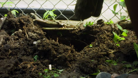 medium-shot-of-man-digging