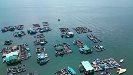 aerial over the fishing boats and rafts of the fish farms on ma wan island, hong kong, china