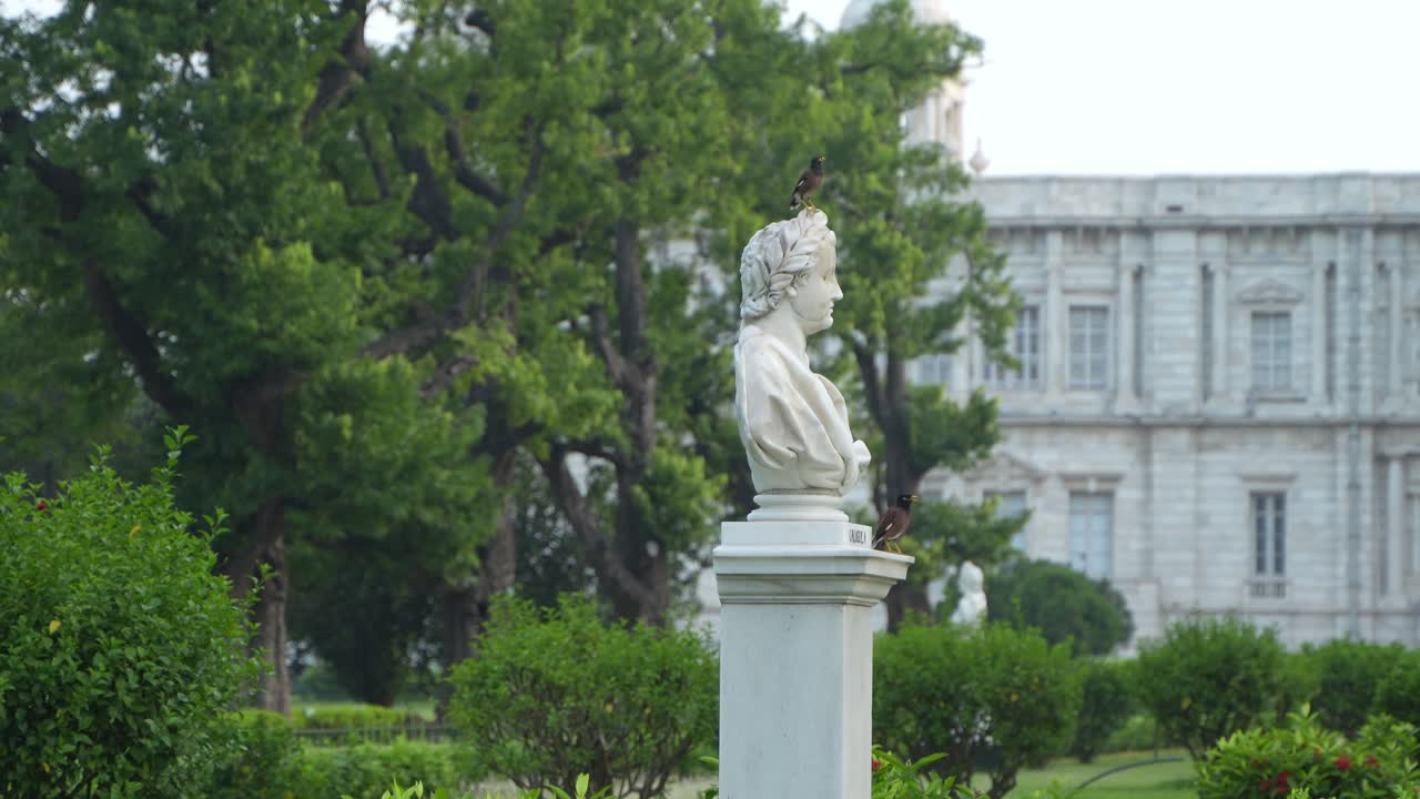 Classical Bust in a Green Garden with Historic Building Background