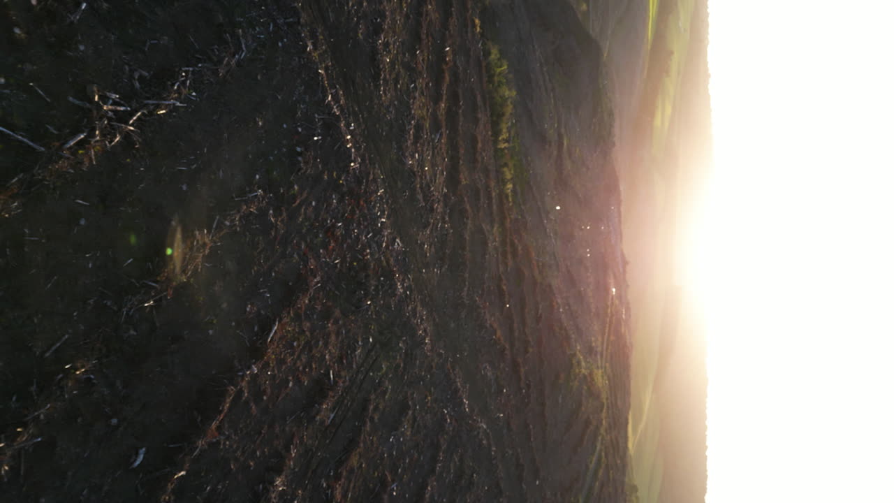 video de teléfono vertical, sitio de deforestación, tierra despejada para la agricultura