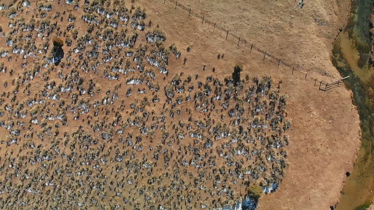 겨울 동안 유타의 이스트 포크 버진 강의 흥미로운 굽힘, 위에서 아래로 공중