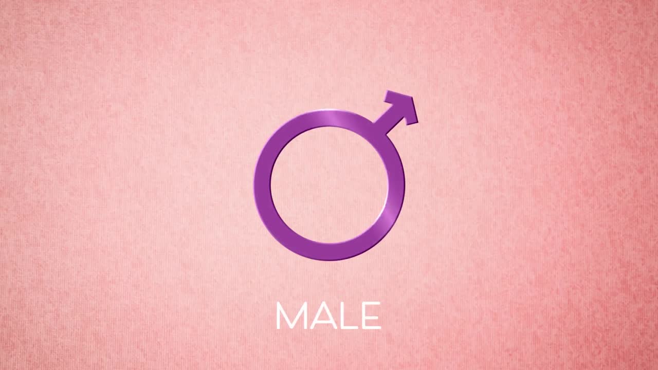 Animation of male gender symbol, on pink background