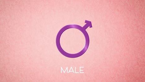 animación del símbolo de género masculino, sobre fondo rosa