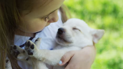 Top-view-of-cute-small-caucasian-girl-holding-and-hugging-a-labrador-puppy-sleeping-in-her-arms