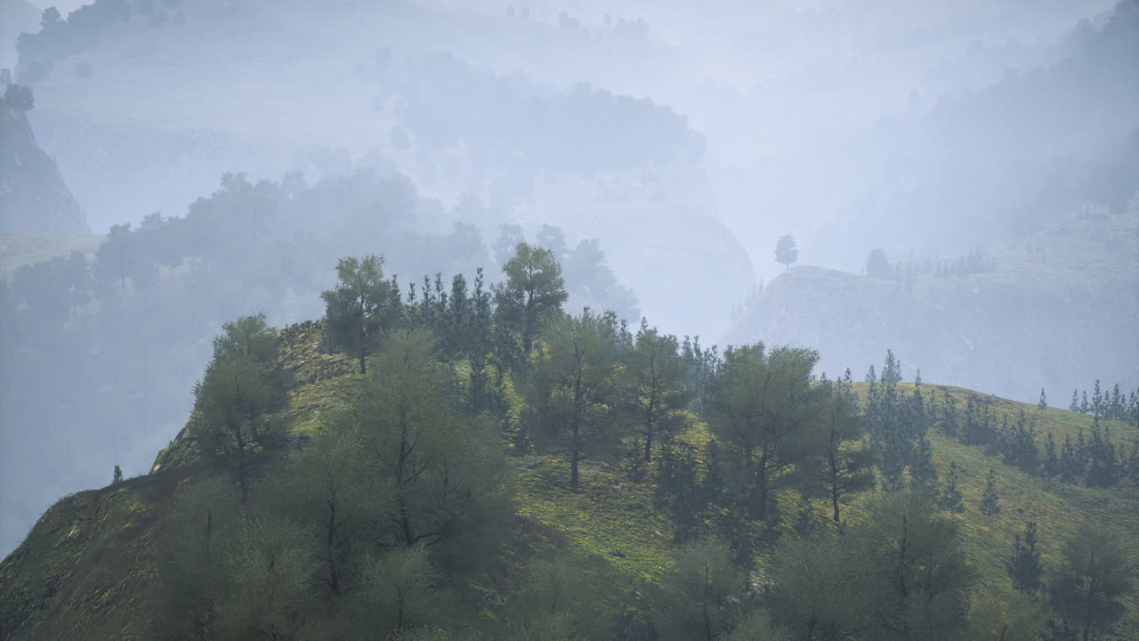 Misty morning view of rolling hills and lush greenery in a tranquil landscape