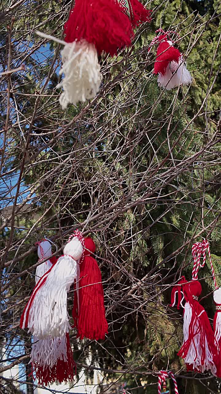 Primo piano verticale di una decorazione di filo Martenitsa rossa e bianca legata a un albero per il giorno di Baba Marta. Adatto per temi di identità culturale e simbolismo stagionale.