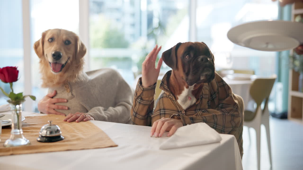 Dogs at a restaurant