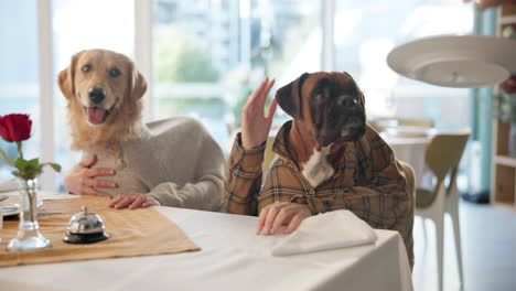 dogs at a restaurant