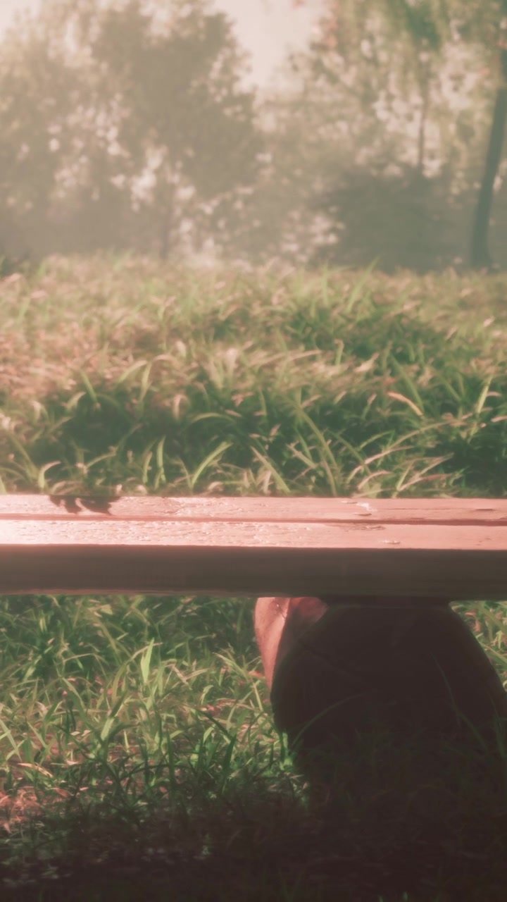 Morning light shines on grass near wooden table in open field