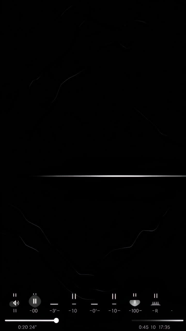 visualización de la forma de onda de audio