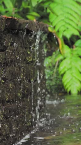 waterfall feature in a garden