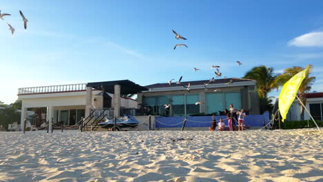 bandada de gaviotas volando bajo al suelo alrededor de un grupo de chicas jóvenes con comida en méxico en la playa durante el día