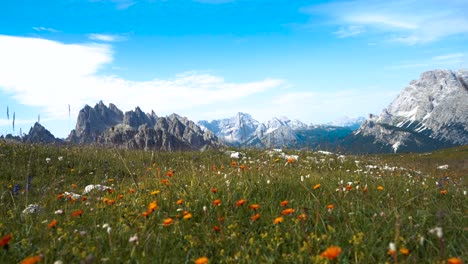 national nature park tre cime in the dolomites alps. beautiful nature of italy.