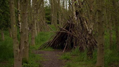 wide shot of a bivouac shelter built around a forest tree