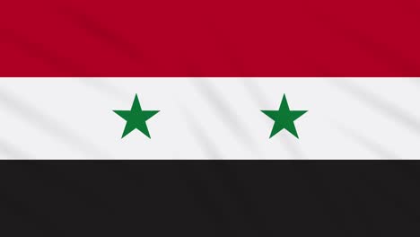 syria flag waving cloth, background loop