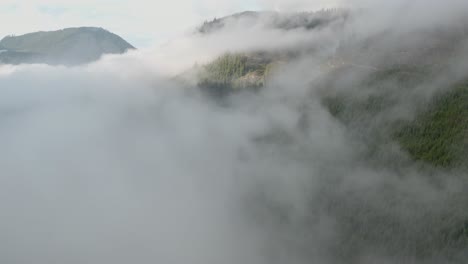 Aus-Den-Wolken-Fliegen,-Um-Einen-Forstbetrieb-Zu-Enthüllen