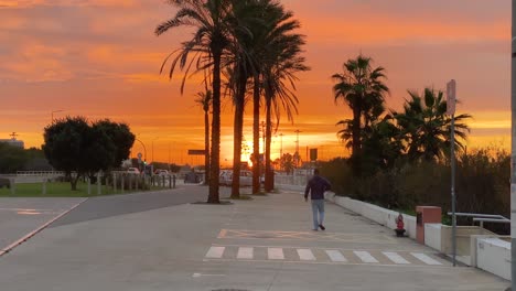 Hermoso-Amanecer-Revelado-Desde-Palmeras-Con-Silueta-De-Hombre-Caminando-En-Estacionamiento