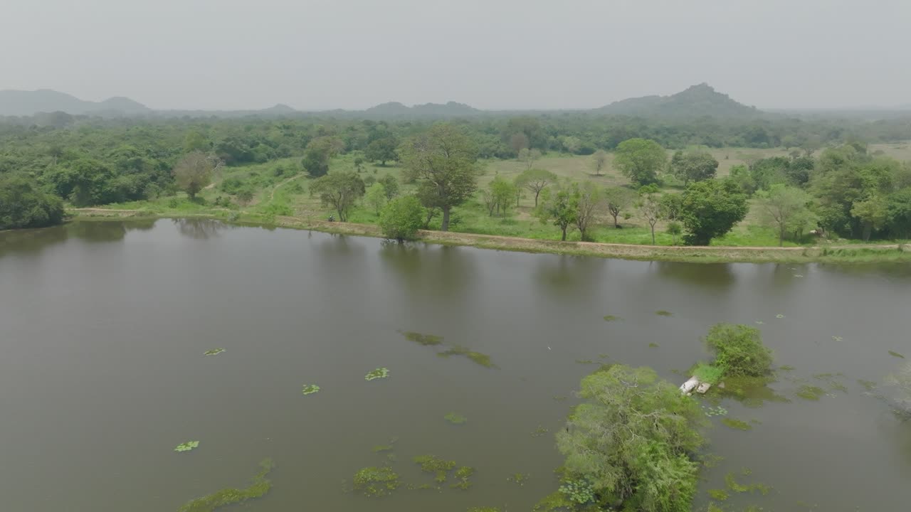 Aerial drone view of a scenic wetland landscape in Sri Lanka with trees, water, and mountains in the distance