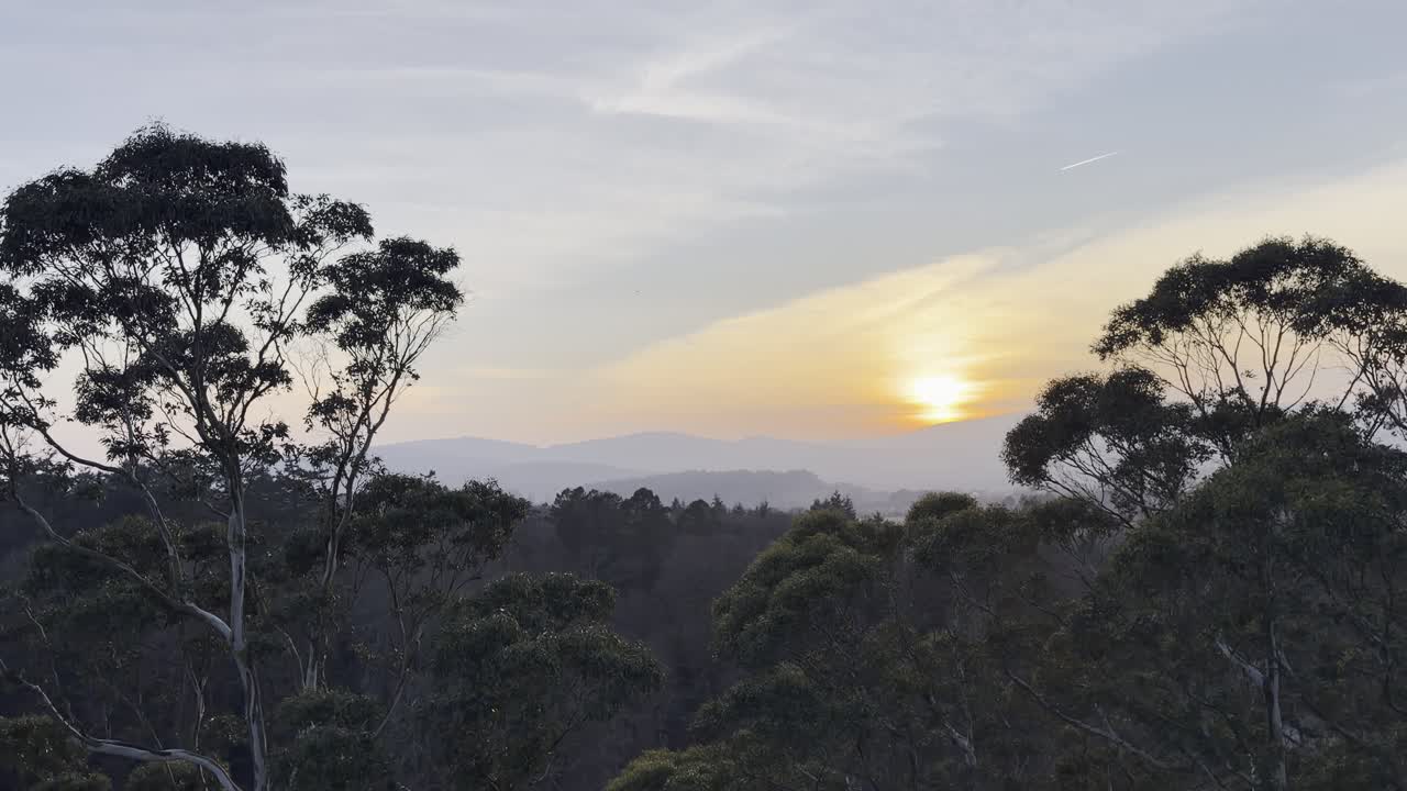 Pôr do sol irlandês da Torre de Observação Espiral em Beyond the Trees, Avondale.