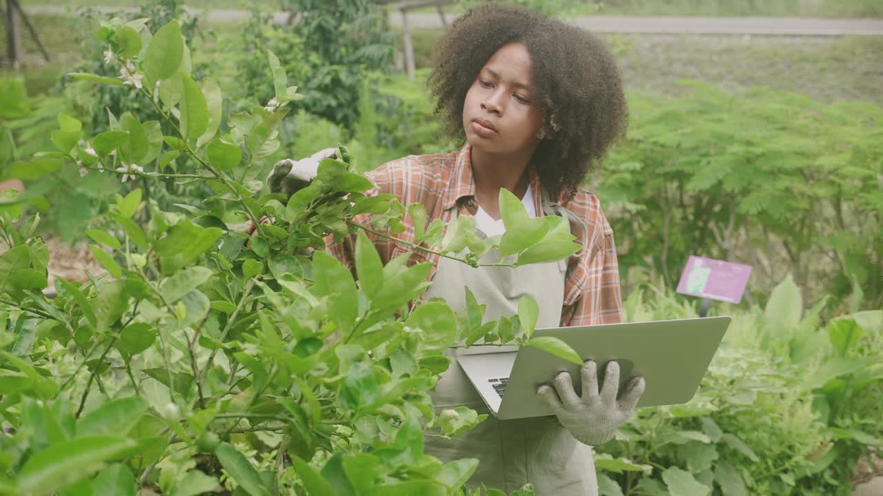 아이들은 정원에서 노트북 컴퓨터로 식물을 찾고 품질을 확인하는 검사, 뒷마당에서 농사를 짓는 아이의 활동, 농장 및 계절, 재배 및 수확.