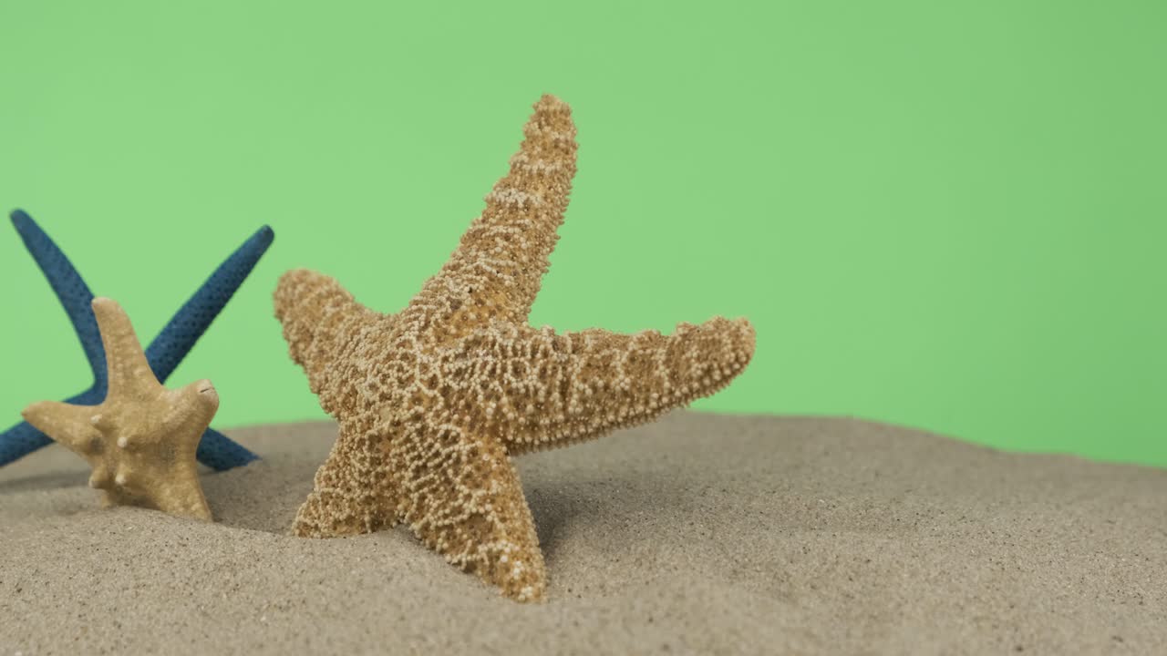 rotación. tres estrellas de mar que sobresalen de la arena. aisladas