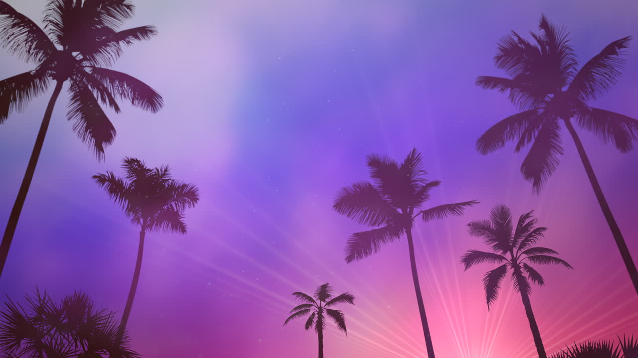 Panoramic view of tropical landscape with palm trees and sunset 2