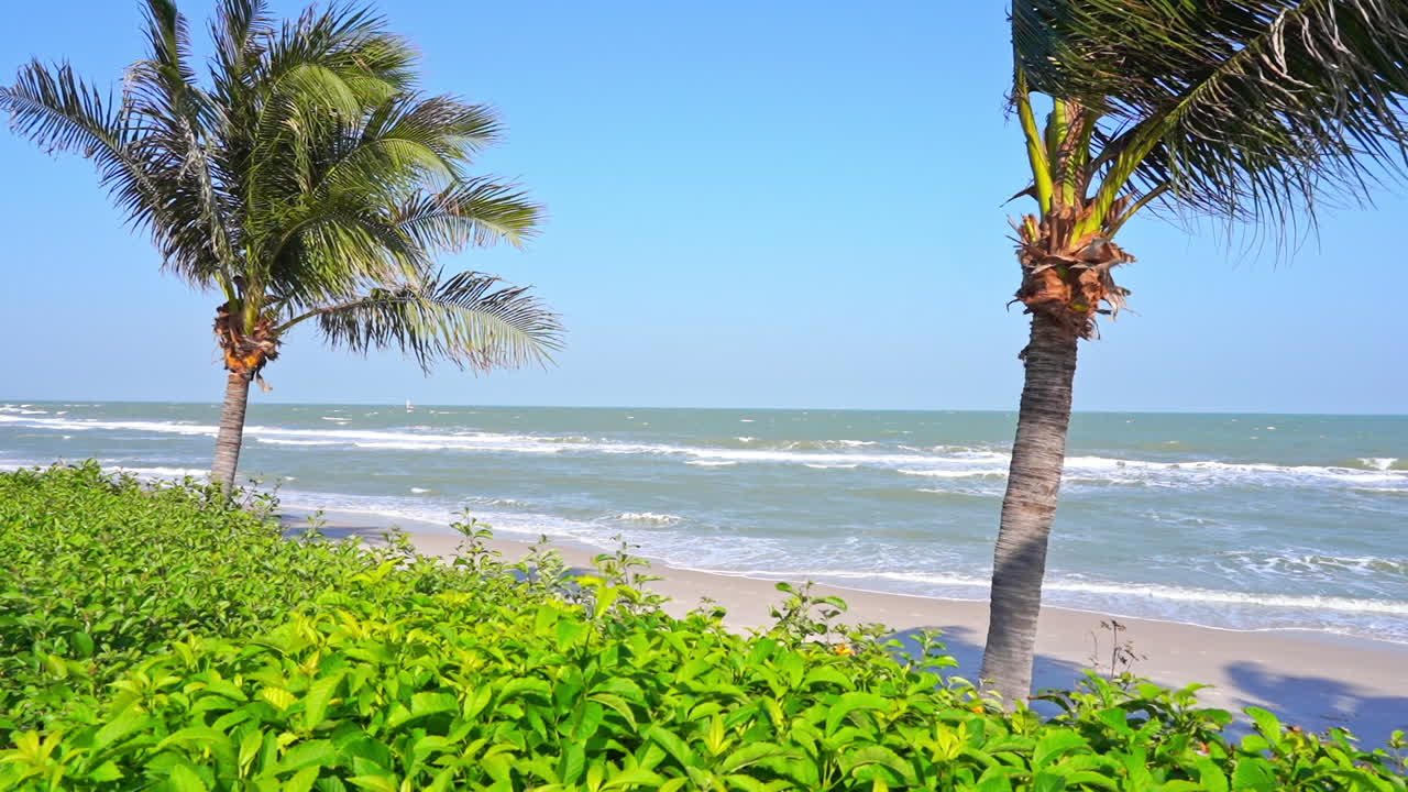 una cálida brisa tropical sopla sobre una playa desierta de arena blanca