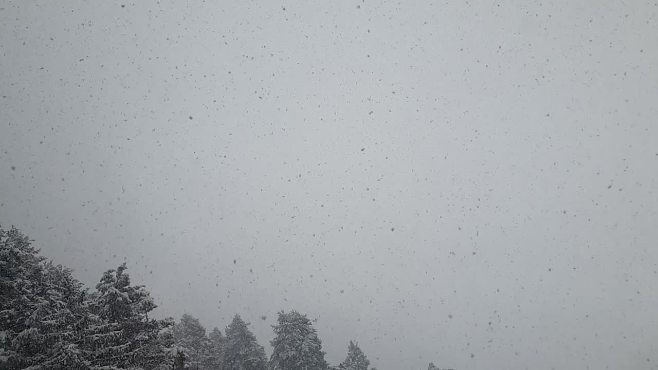 fuertes nevadas, copos de nieve en diferentes formas y formas en tormenta de nieve