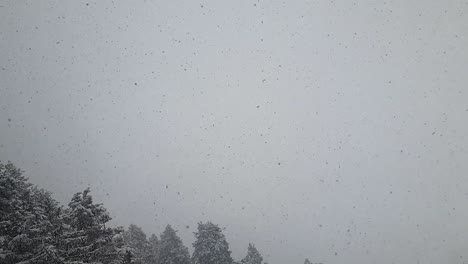 Starker-Schneefall,-Schneeflocken-In-Verschiedenen-Formen-Und-Formen-Im-Schneesturm