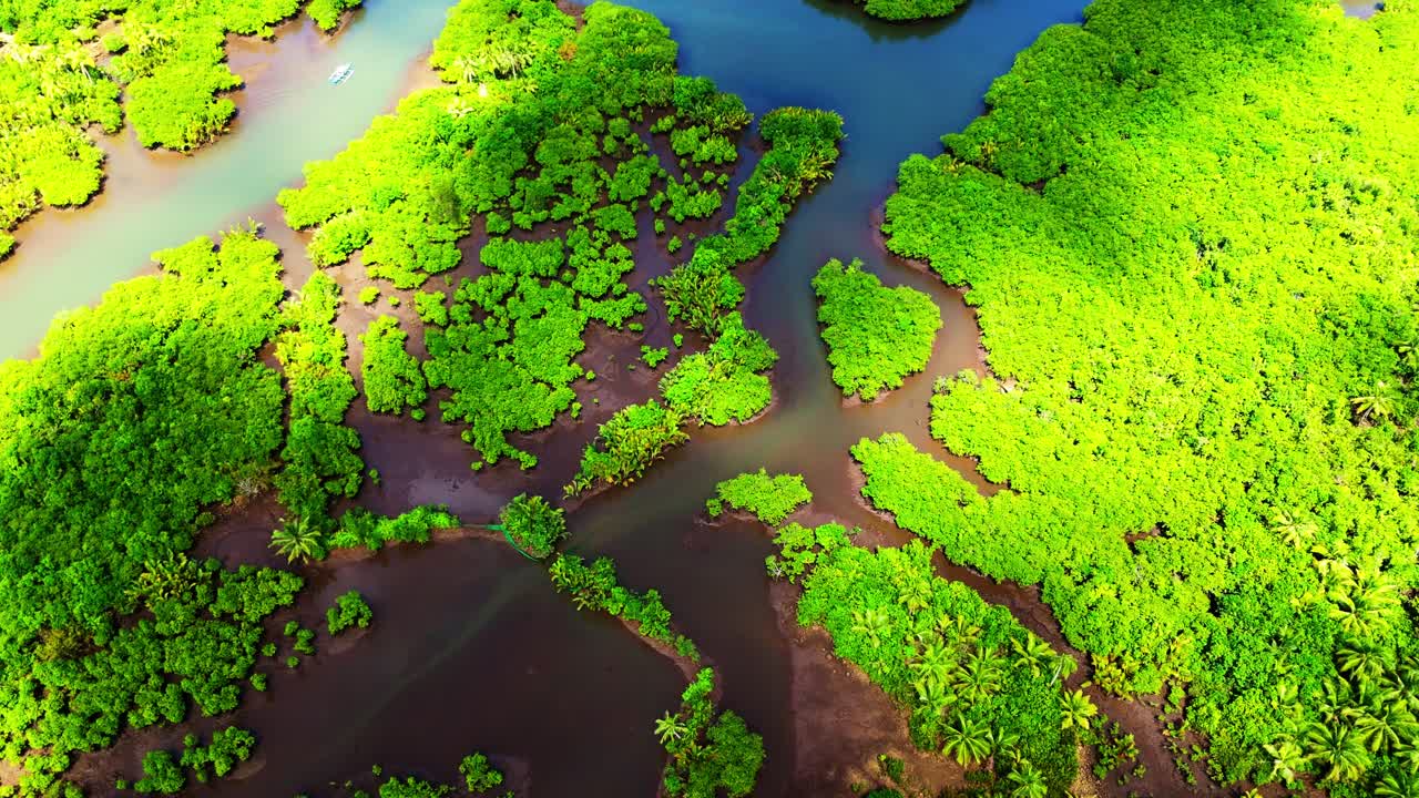 Cinematic aerial panorama of the Maasin River in Siargao with dramatic cloud shadows moving over the palm forest. Beautiful contrast in the tropical landscape of the Philippines