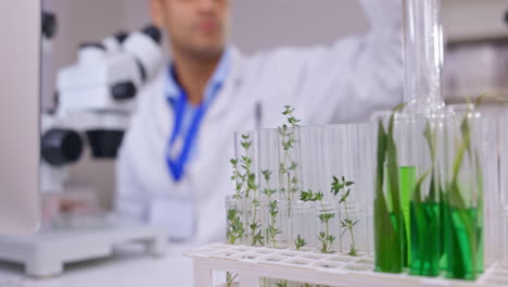 scientist, plant and microscope in laboratory