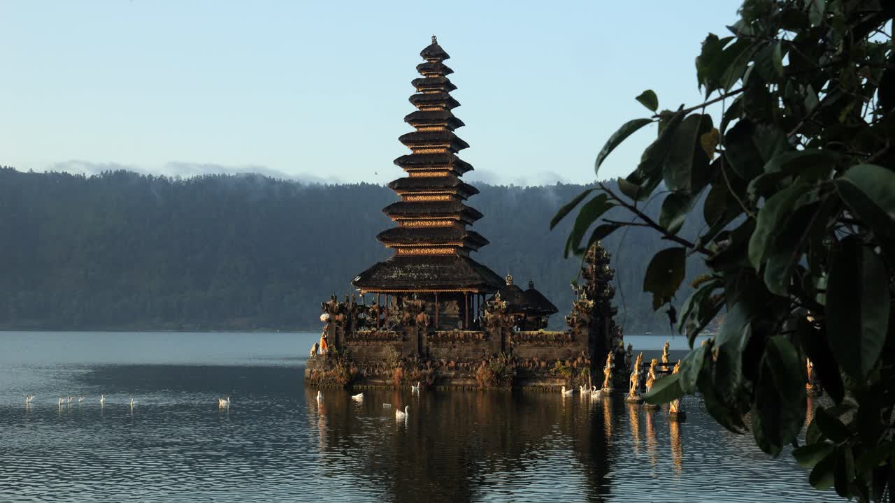 Unveiling shot of Pura Segara Ulun Danu a spiritual temple in the water on Bali with reflecting water and view of ducks, nature and the golden hour