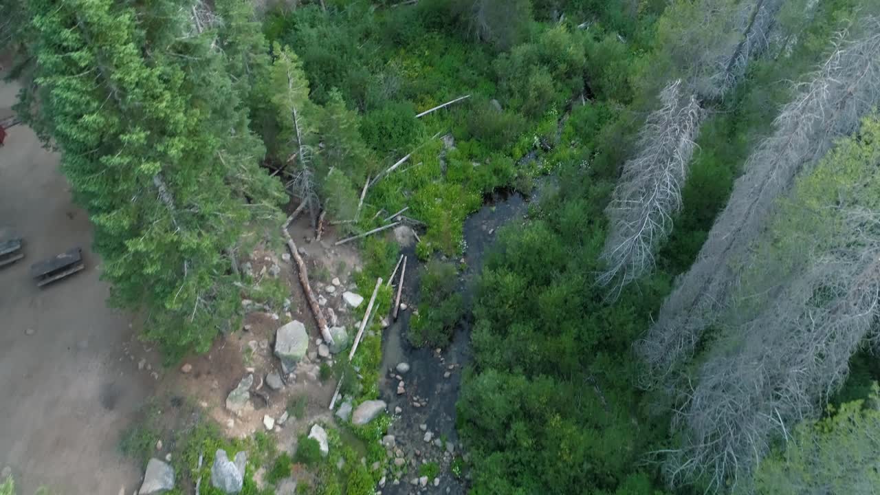 해가 지는 시점 에 섹오이아 의 풍경 을 드러내는 돌진 하천 의 공중 비행