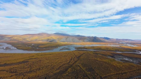 the drone soars over vibrant autumn landscapes, capturing the beauty of colorful forests and winding rivers, showcasing nature's tranquility in this magical season.