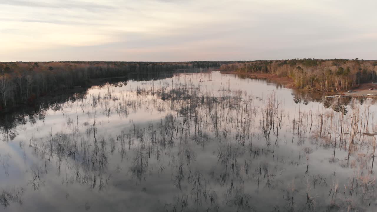 조지아 주 그래디 카운티의 저녁 하늘을 반사하는 부드럽고 지친 크릭 호수에서 솟아오르는 수백 그루의 벌거벗은 나무 위로 날아가면서 천천히 내려갑니다.