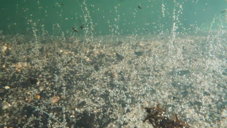 air bubbles rise up and garbage falls down on ocean shell