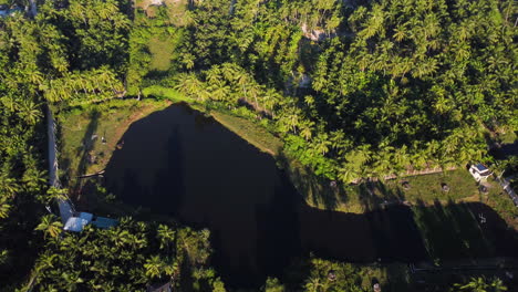 aerial reveal of rural tropical village in palm tree jungle, vietnam