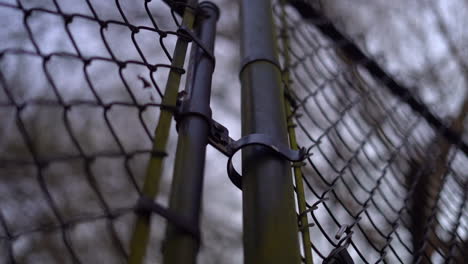 Leaves-falling-by-a-gate-in-a-chain-link-fence-in-autumn-or-winter---low-angle-static-view-in-slow-motion