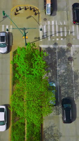 traffic of a busy city at daytime. automobiles moving quickly by the broad roads. view from top. vertical video